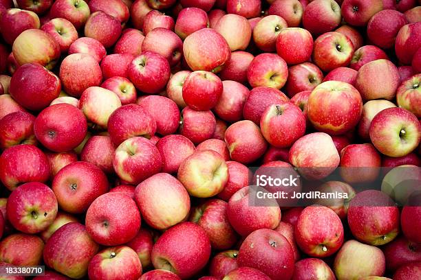 たくさんのりんご - リンゴのストックフォトや画像を多数ご用意 - リンゴ, 摘む, クローズアップ