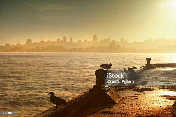 Gaivotas Ignorar O Horizonte De San Francisco - Fotografias de stock e mais imagens de Cais - Estrutura Feita pelo Homem - Cais - Estrutura Feita pelo Homem, Docas, Pássaro