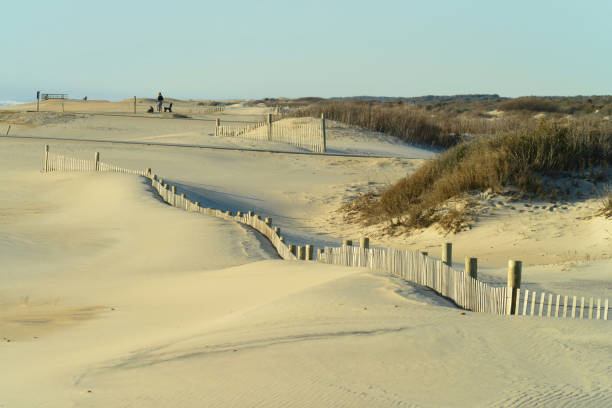 Serene landscape at Assateague Island National Seashore in Maryland, USA on a winter day Serene landscape at Assateague Island National Seashore in Maryland, USA.
Assateague has miles and miles of beach and sand dunes. Assateague is a popular destination for vacationers looking to go camping, off-roading, fishing, wildlife viewing, boating, water sports, surfing or just enjoying the quiet serenity and the herd of wild ponies that live on the island.  Assateague is particularly peaceful in the off season. eastern shore sand sand dune beach stock pictures, royalty-free photos & images