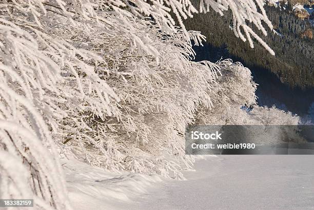 Gefrorene Büschen Nächsten Winter Seelandschaft Stockfoto und mehr Bilder von Alpen - Alpen, Ast - Pflanzenbestandteil, Badeort Strand