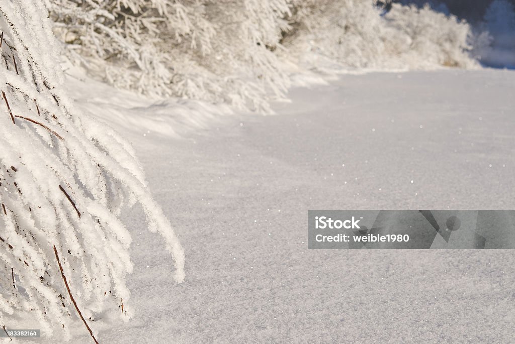 Gefrorene Büschen nächsten winter See-Landschaft - Lizenzfrei Alpen Stock-Foto