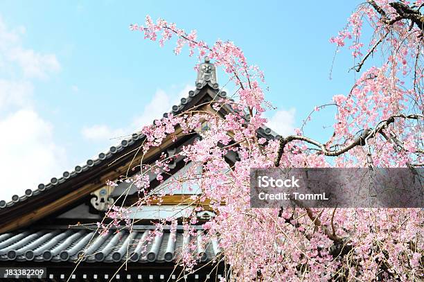 Foto de Flor De Cerejeira Em Kyoto Japão e mais fotos de stock de Casa - Casa, Flor de Cerejeira, Cidade de Quioto