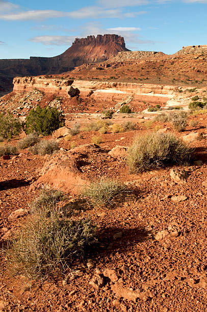 istock Desert Canyons in Utah 183382605