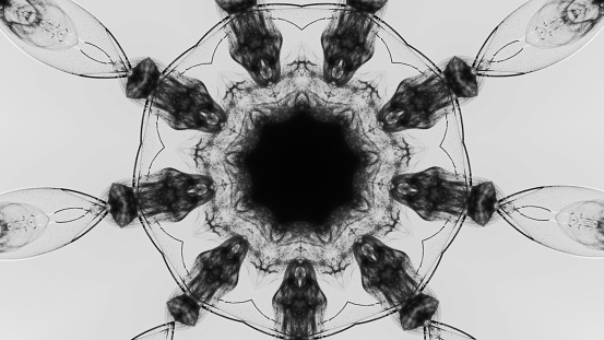 Ink kaleidoscope. Mandala design. Black smoke in broken glass flower symmetrical ornament on white abstract illustration background.