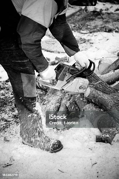 Cortar Madeira - Fotografias de stock e mais imagens de Preto e Branco - Preto e Branco, Serra Articulada, Adulto