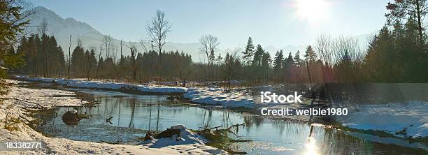Xxl Inverno Paisagem Panorama Com Árvores E Sol Solitário - Fotografias de stock e mais imagens de Ao Ar Livre