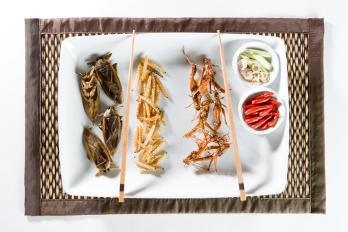 Fried Insects Being Served On A Plate. Other Fried Insect Shots: