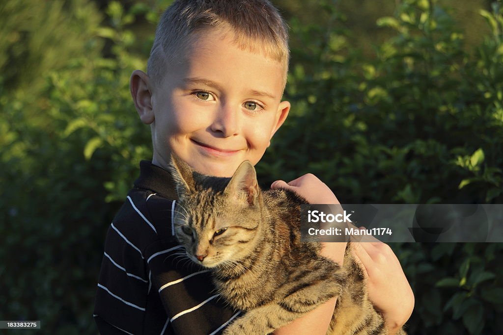 Junge mit Katze - Lizenzfrei Blick in die Kamera Stock-Foto