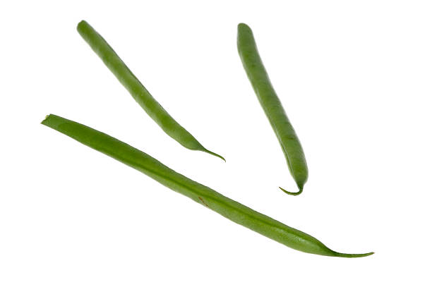 Three French Beans on white backgroundComposition is horizontal