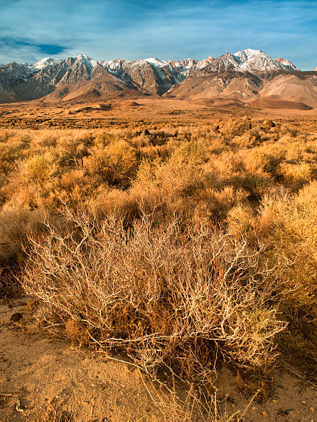istock Sierra Nevada mountains California 183383665
