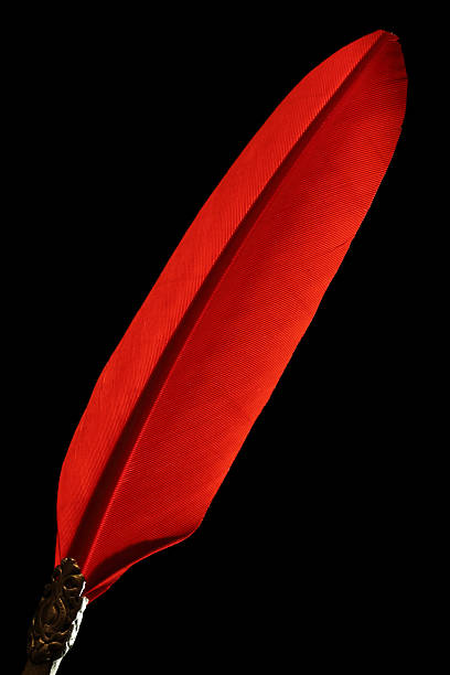istock Red quill pen on black background 183383825