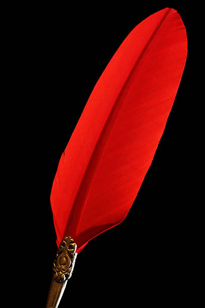 istock Red quill pen on black background 183383933