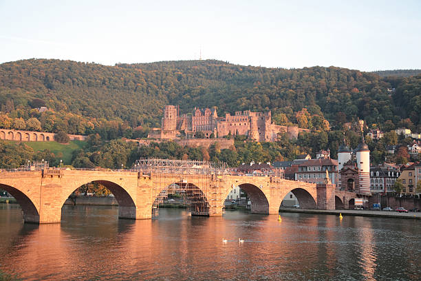 istock Heidelberg Castle and old town under sunset 183385208