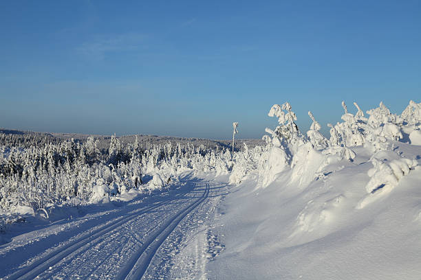 ユキコ冬景色、夕日とクロス sountry スロープ - cross country skiing black forest germany winter ストックフォトと画像