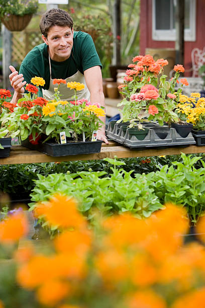 travailleur de jardinerie shopping magasin de fleurs - sc0411 photos et images de collection