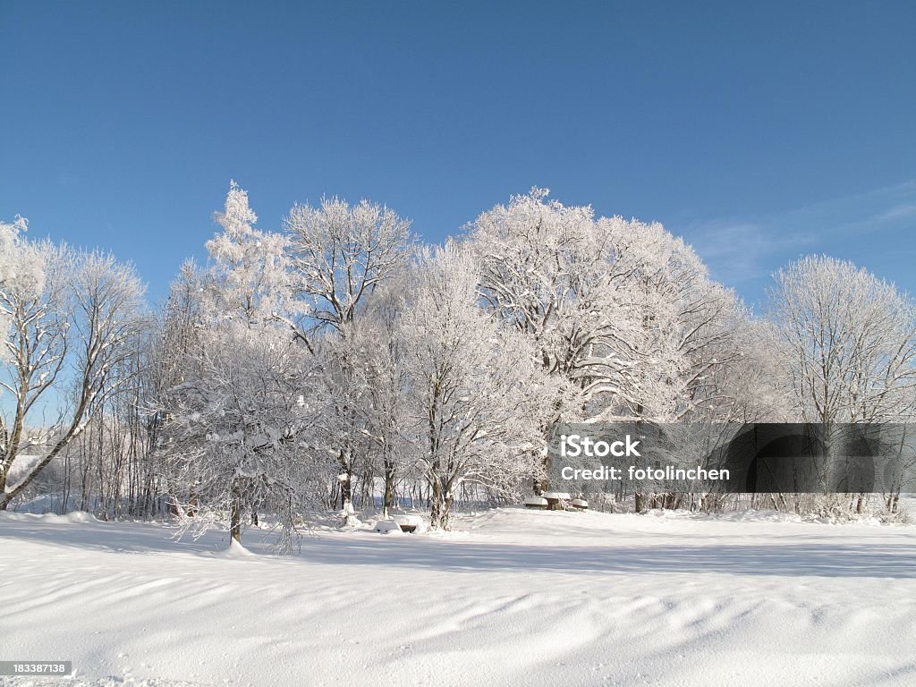 Winterlandschaft - Lizenzfrei Ast - Pflanzenbestandteil Stock-Foto