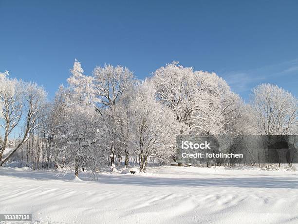 Winterlandschaft Stockfoto und mehr Bilder von Ast - Pflanzenbestandteil - Ast - Pflanzenbestandteil, Baum, Blau