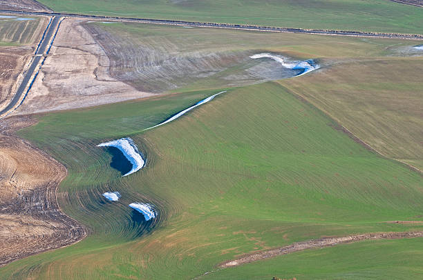 ポケットの雪の小麦のフィールドをパルース郡 - dirt wheat washington state palouse ストックフォトと画像