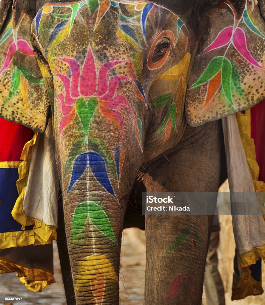 Крупный план окрашенный Индийский слон - Стоковые фото Азиатский слон роялти-фри