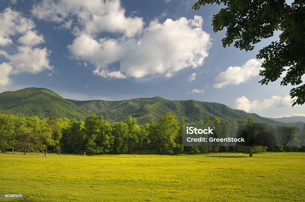 Smoky Mountains Cades Cove im späten Frühling - Lizenzfrei Great Smoky Mountains Stock-Foto