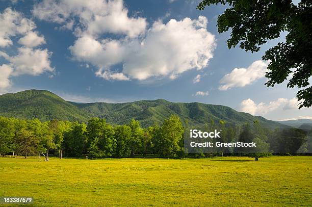 Smoky Mountains Cades Cove Im Späten Frühling Stockfoto und mehr Bilder von Great Smoky Mountains - Great Smoky Mountains, Nationalpark Great Smoky Mountains, Amerikanische Kontinente und Regionen