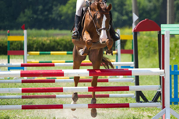 istock Horse jump a hurdle 183392213