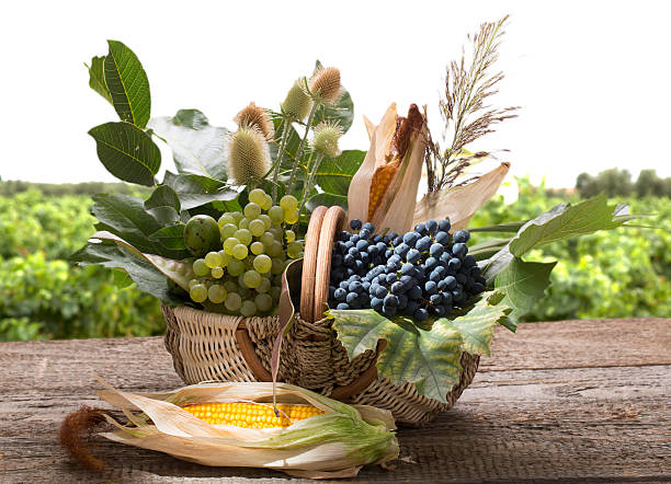 autumnal natureza-morta com uvas e milho de carolo - corn on the cob corn crop food and drink healthy eating imagens e fotografias de stock