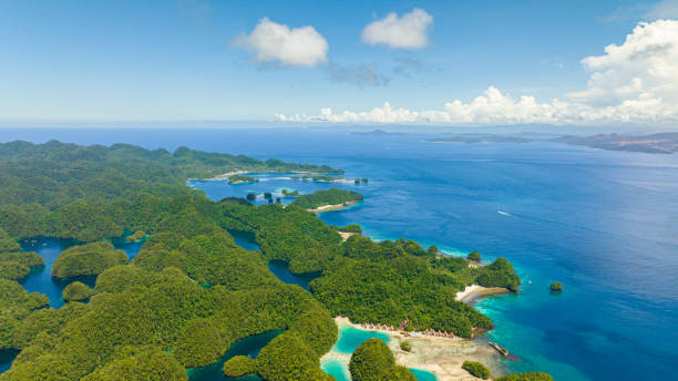 istock Birds eye view of Tropical Rainforest. Philippines. 1833999804