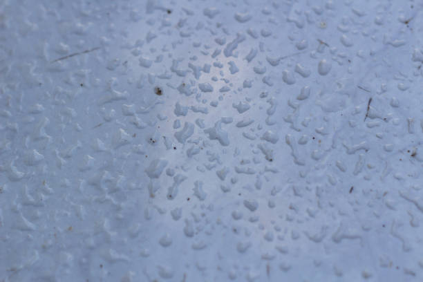 istock Water drops were on the floor 1834000347