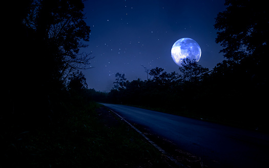 Night landscape with road in forest and full moon