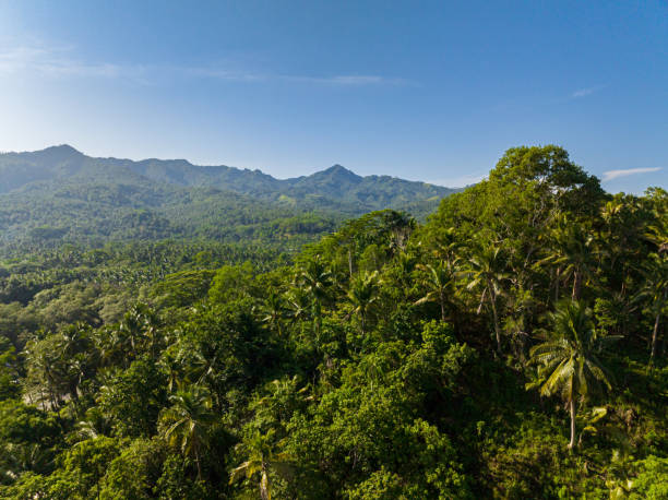 istock Tropical Mountain in Tropical Island in the Philippines. 1834018889