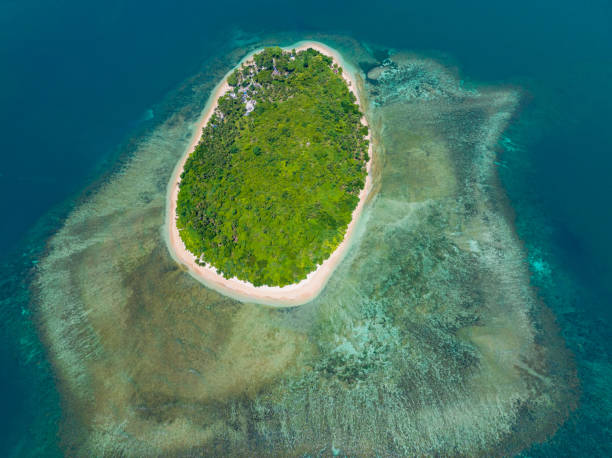 istock View from above of sandy tropical island. 1834019906