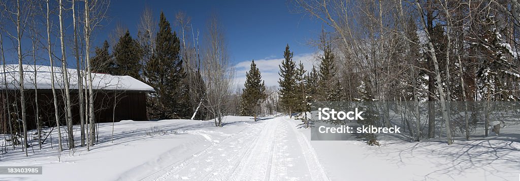 Panorama of Snowshoe Trail in Summit County, Colorado "Panoramic image of a snowshoe and cross country ski trail in Summit County, Colorado.  Three images stitched in Photoshop CS4." Aspen Tree Stock Photo