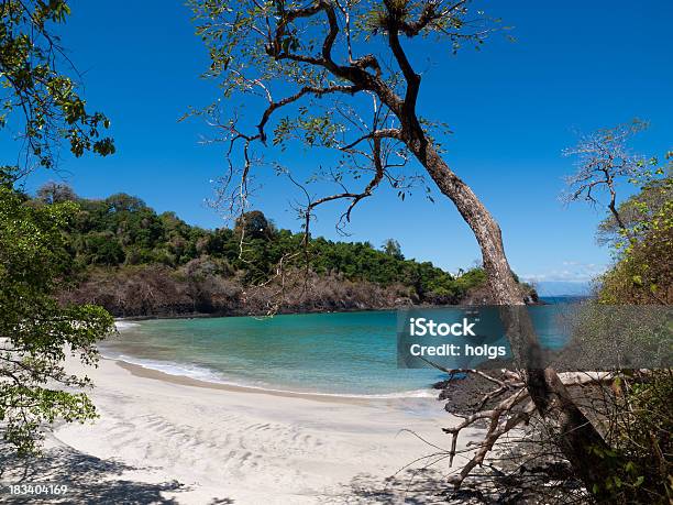 Parco Nazionale Marino Golfo De Chiriqu - Fotografie stock e altre immagini di Albero - Albero, Ambientazione esterna, America Centrale