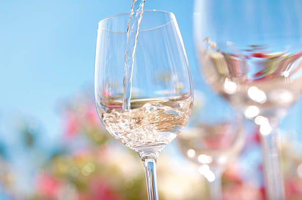 여름 와인 - wine glass white wine wineglass 뉴스 사진 이미지
