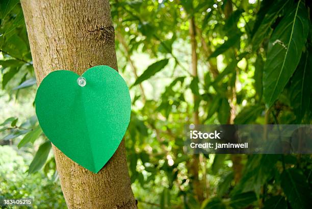 Vuoto Cuore Per Testo Conservare E Preservare Il Nostro Ambiente - Fotografie stock e altre immagini di Abbracciare gli alberi