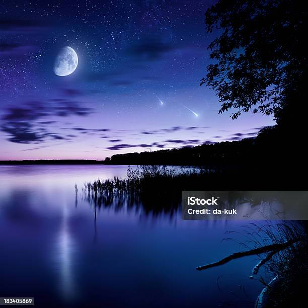 Scatto Notturno Di Lago - Fotografie stock e altre immagini di Luna - Luna, Foresta, Notte