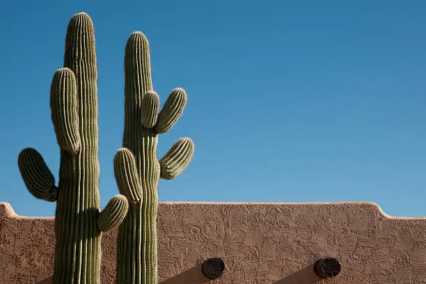 "Saguaro Cactus, Southwestern Style Exterior Wall and Blue Sky."