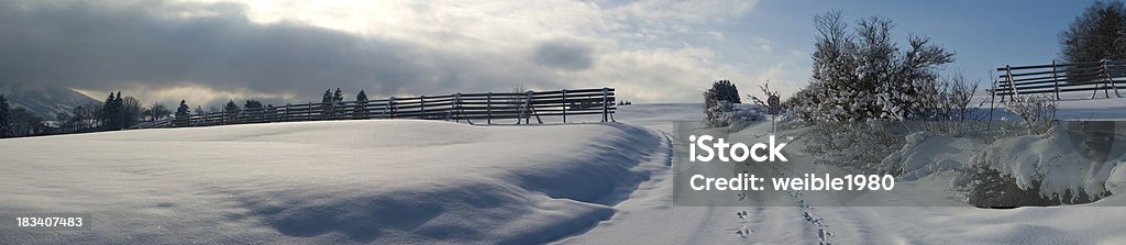 Neve Road XXL inverno paisagem Panorama - Foto de stock de Arbusto royalty-free