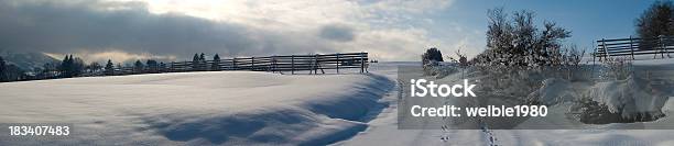 Estrada De Neve No Inverno Paisagem Panorama Xxl - Fotografias de stock e mais imagens de Arbusto - Arbusto, Beleza, Berma da Estrada