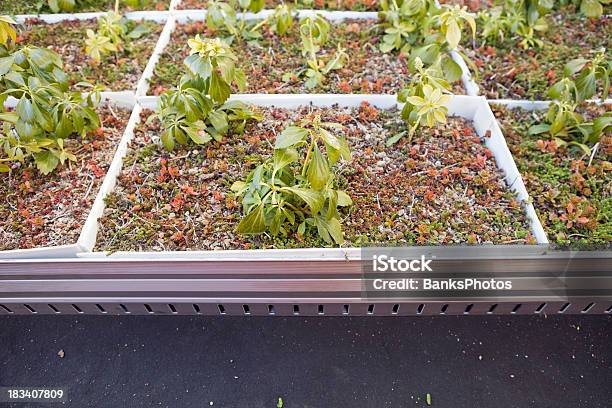 Green Roof Installation Details Stock Photo - Download Image Now - Living Roof, Box - Container, Building Exterior