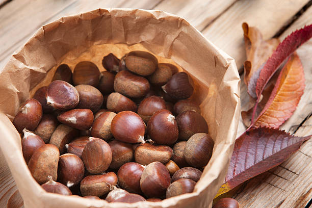 Chestnuts stock photo