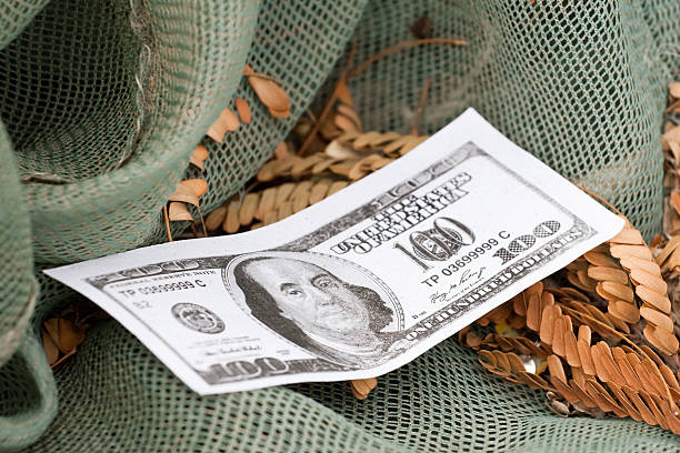 fake money on the background of a fishing net stock photo