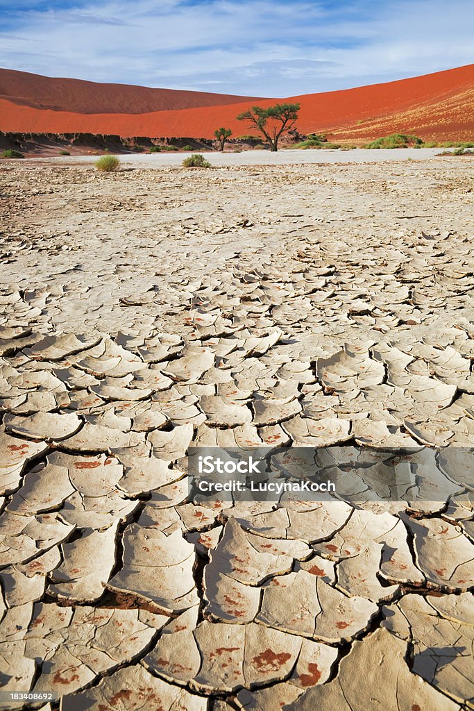 Rissige Boden - Lizenzfrei Afrika Stock-Foto