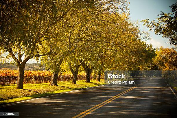 Photo libre de droit de Voie Route De La Vallée De Napa En Californie banque d'images et plus d'images libres de droit de Route - Route, Comté de Sonoma, Napa Valley