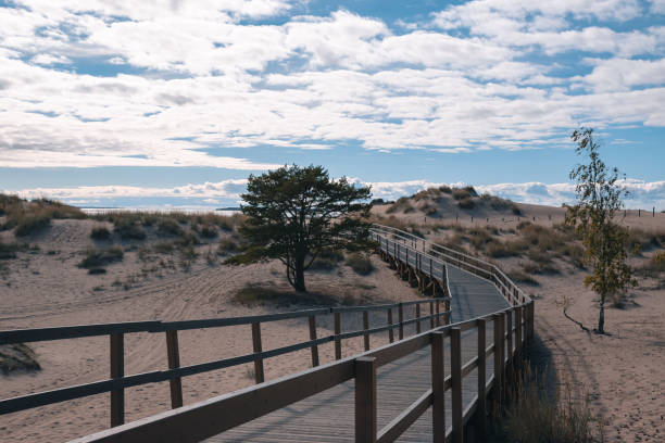 istock wooden path in sand dunes against a cloudy sky 1834088743