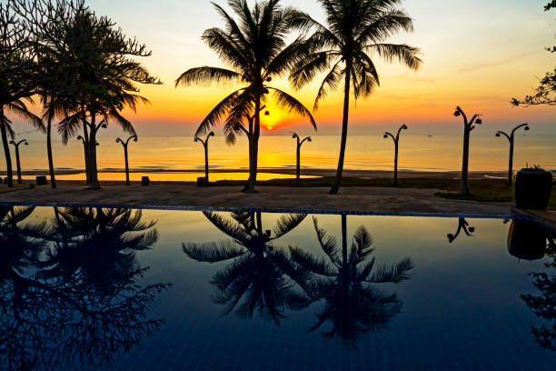 istock Sunrise and silhouette of tree at beach Bang Boet 1834092449