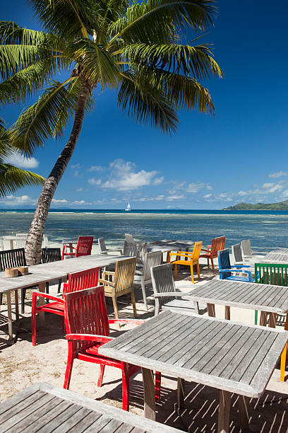 hermoso restaurante frente al mar con palmeras - riff fotografías e imágenes de stock