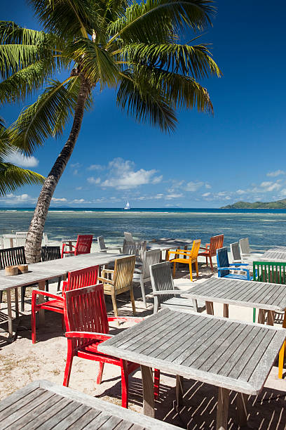 美しいビーチフロントのレストラン、ヤシの木 - riff ストックフォトと画像