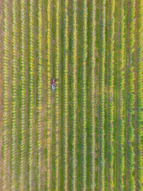 istock Crop sprayer traktor spraying pesticide or herbicides field. Win 1834100972